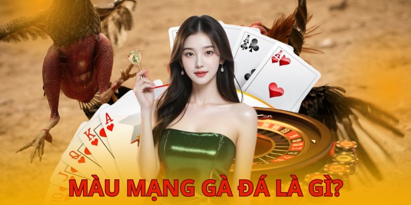 Bí ẩn đằng sau màu mạng gà đá trong giới đấu kê