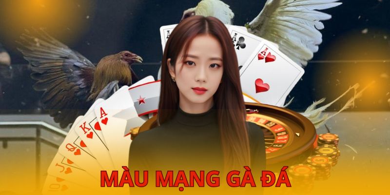 màu mạng gà đá